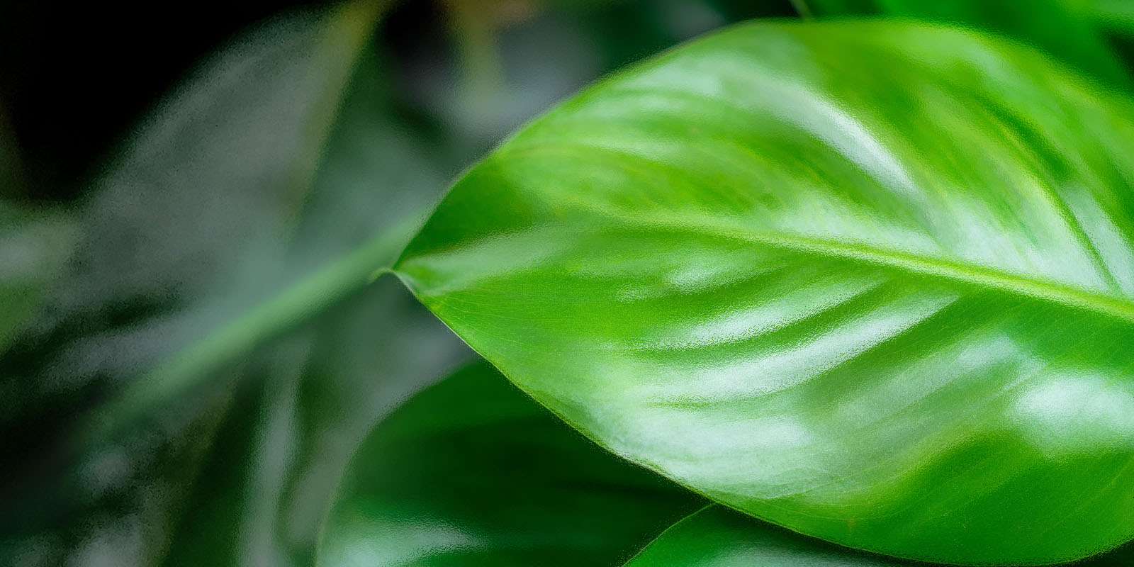 身体も心も解き放つ、
メンズリラクゼーションを。